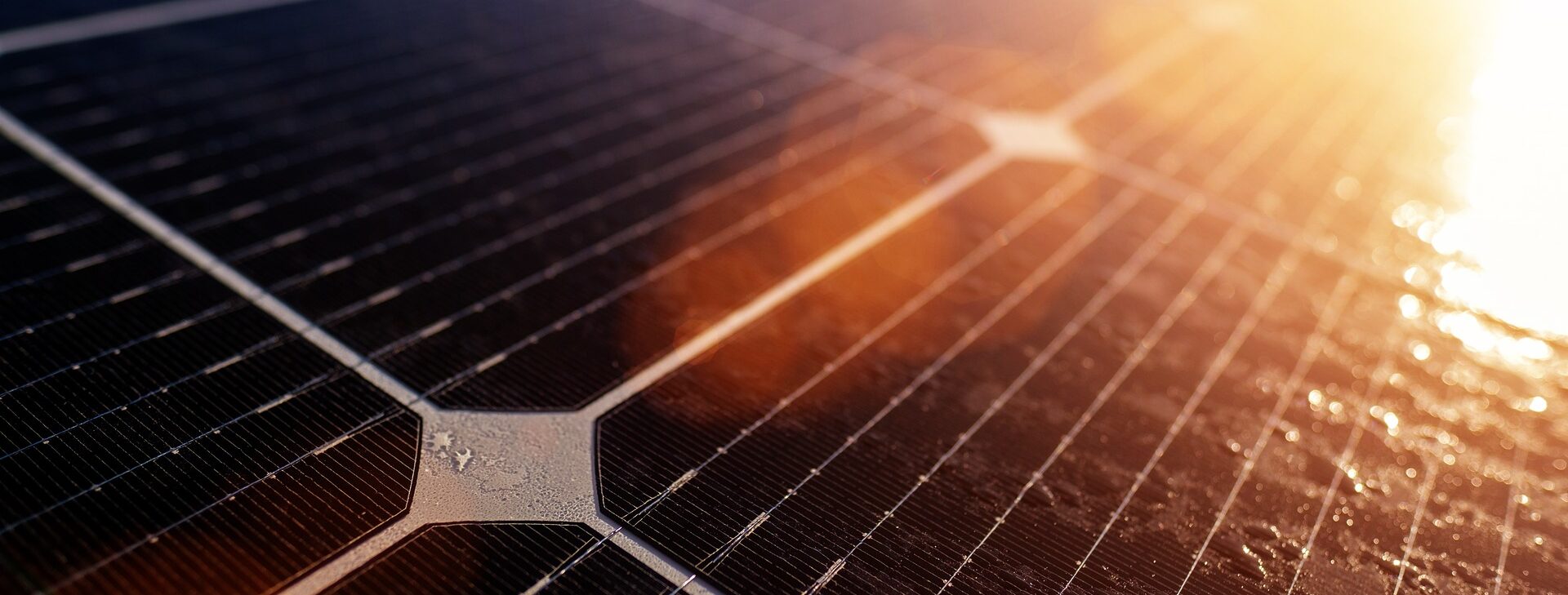 Monokristalline Solarmodule - TALENI - Energy Unlimited